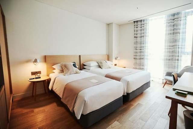 Deluxe Twin Room