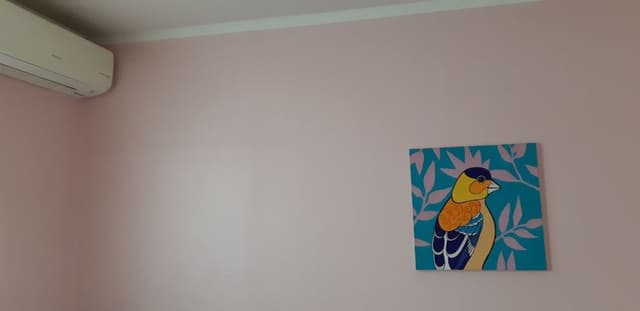 1 x Private Single Room(Shared Bathroom)