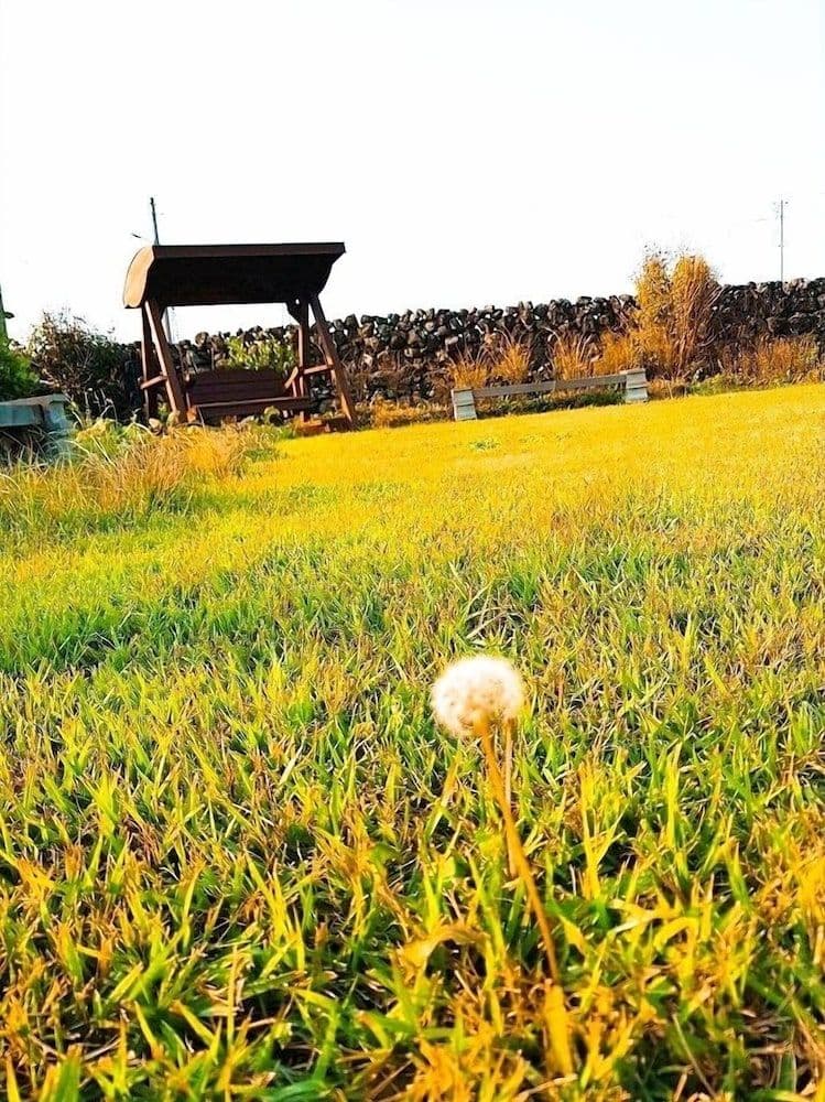 Hadori Mindfulness Hadori Mindfulness