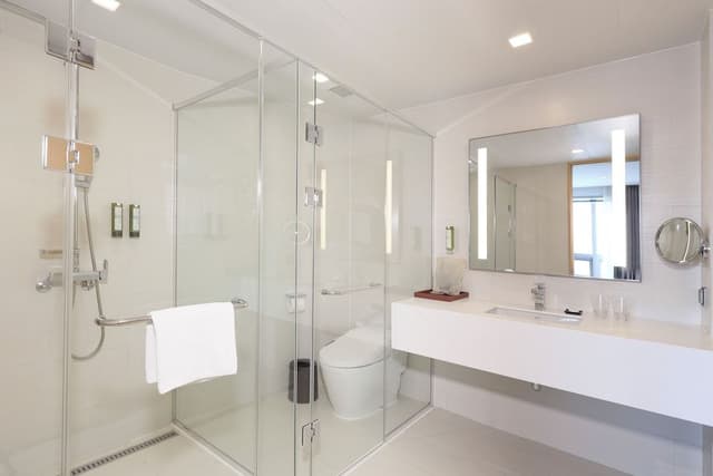 Junior Suite (Avani)