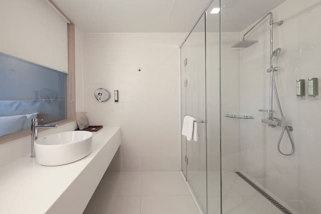 Deluxe Twin Room, City View (Avani)
