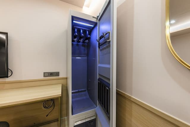 VIP Twin Room