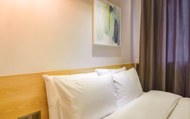 Standard Double Room (Netflix)