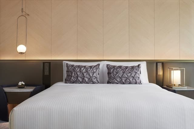 Deluxe Room, 1 King Bed (41 sm)