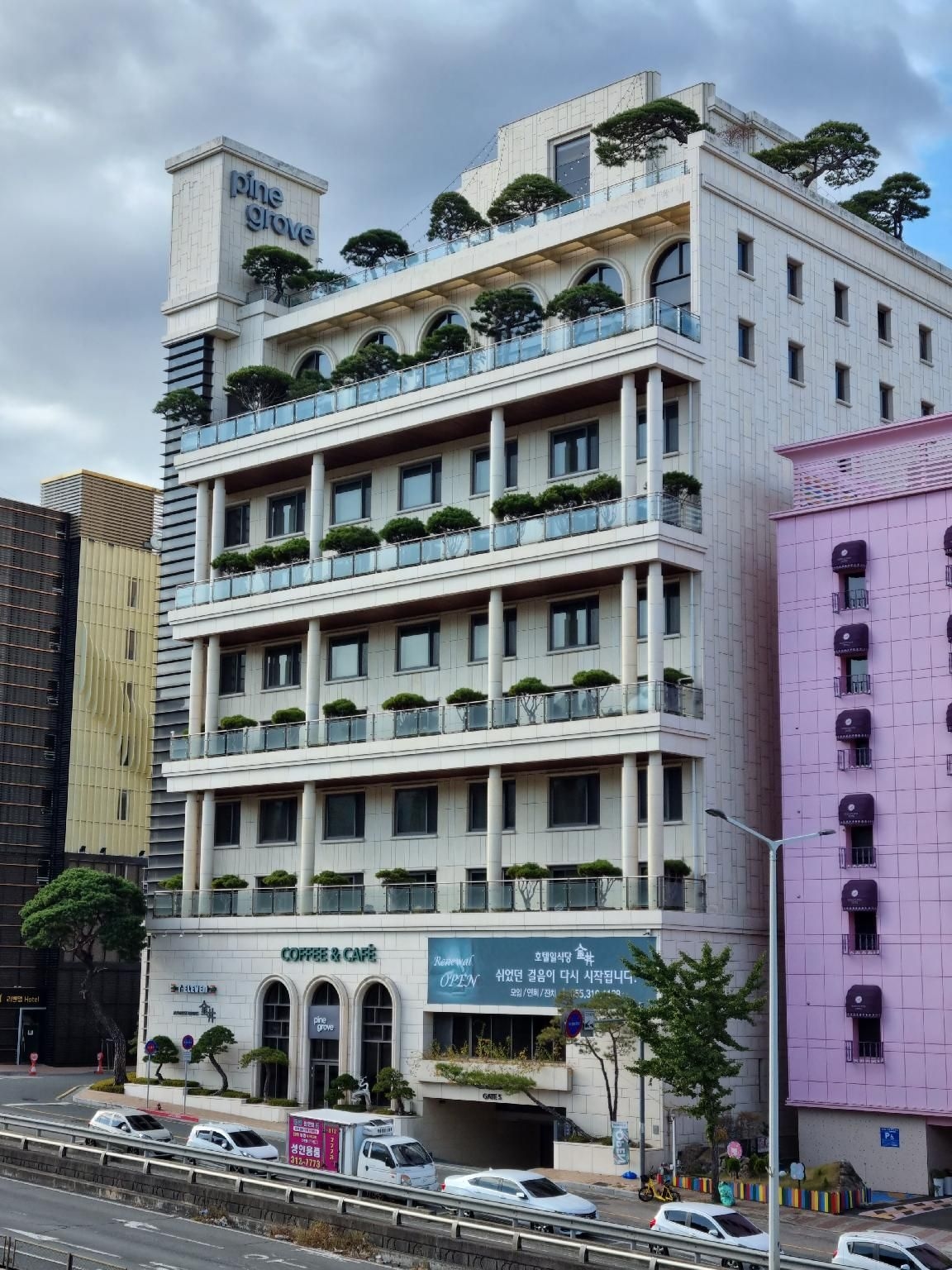 ไพน์ โกรฟ โฮเต็ล (Pine Grove Hotel)4