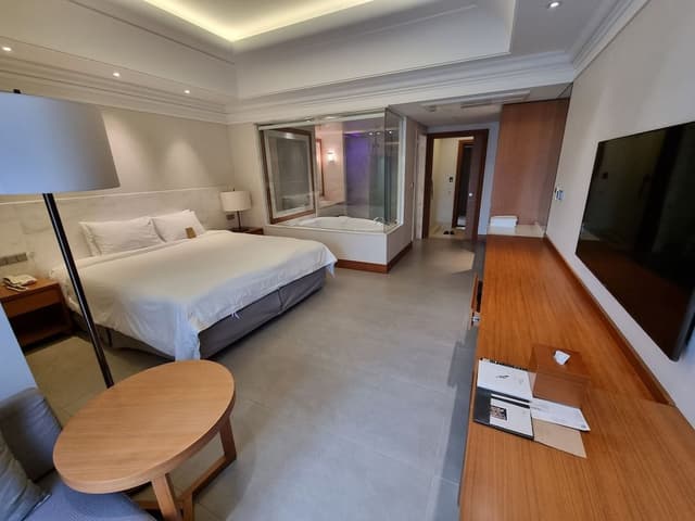 Premier Super King Double Room (Park View)