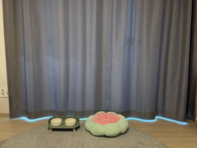 Pet Deluxe