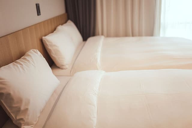Family Twin Room
