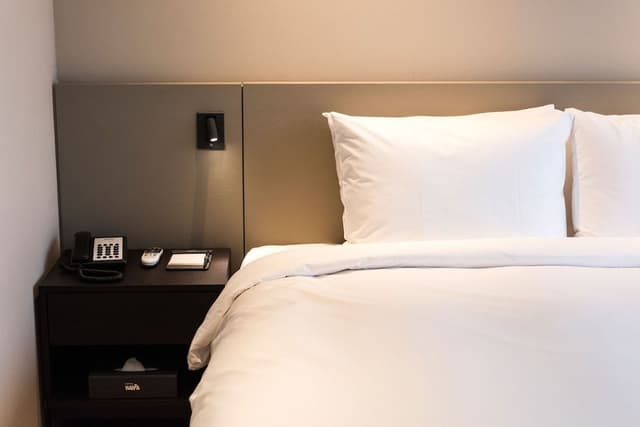 Deluxe Double Room, 1 King Bed, Mountain View