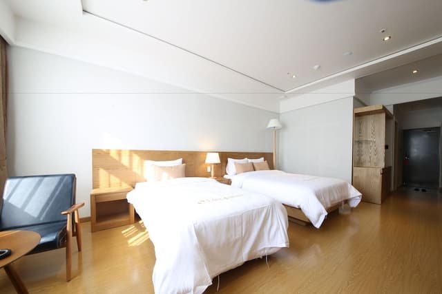 VIP Twin Room