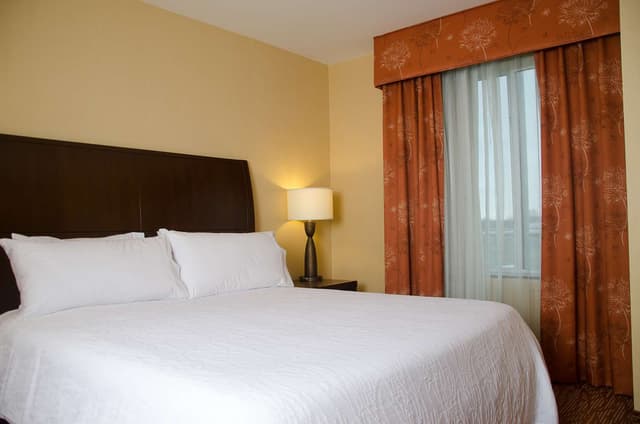 1 KING BED JUNIOR SUITE WITH SOFABED