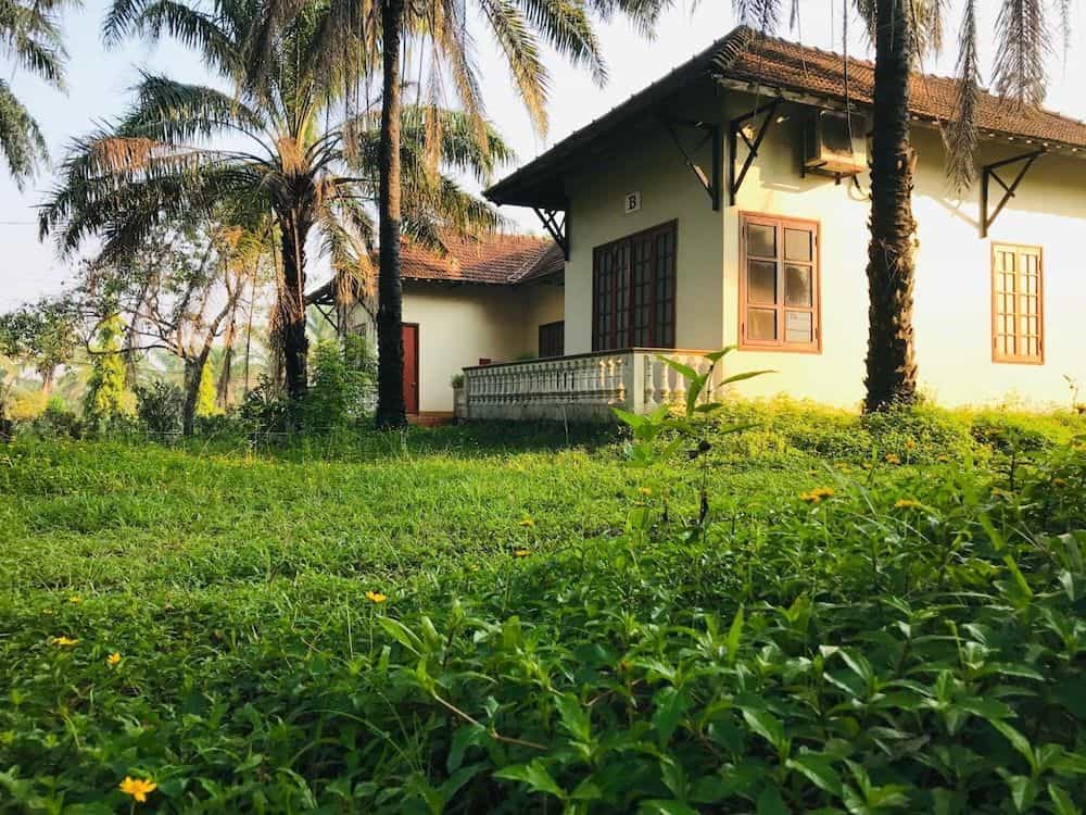 PALM GARDEN HOUSE PALM GARDEN HOUSE