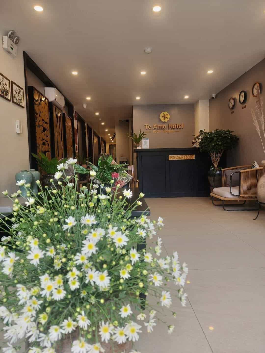 HOTEL TE AMO HOTEL TE AMO