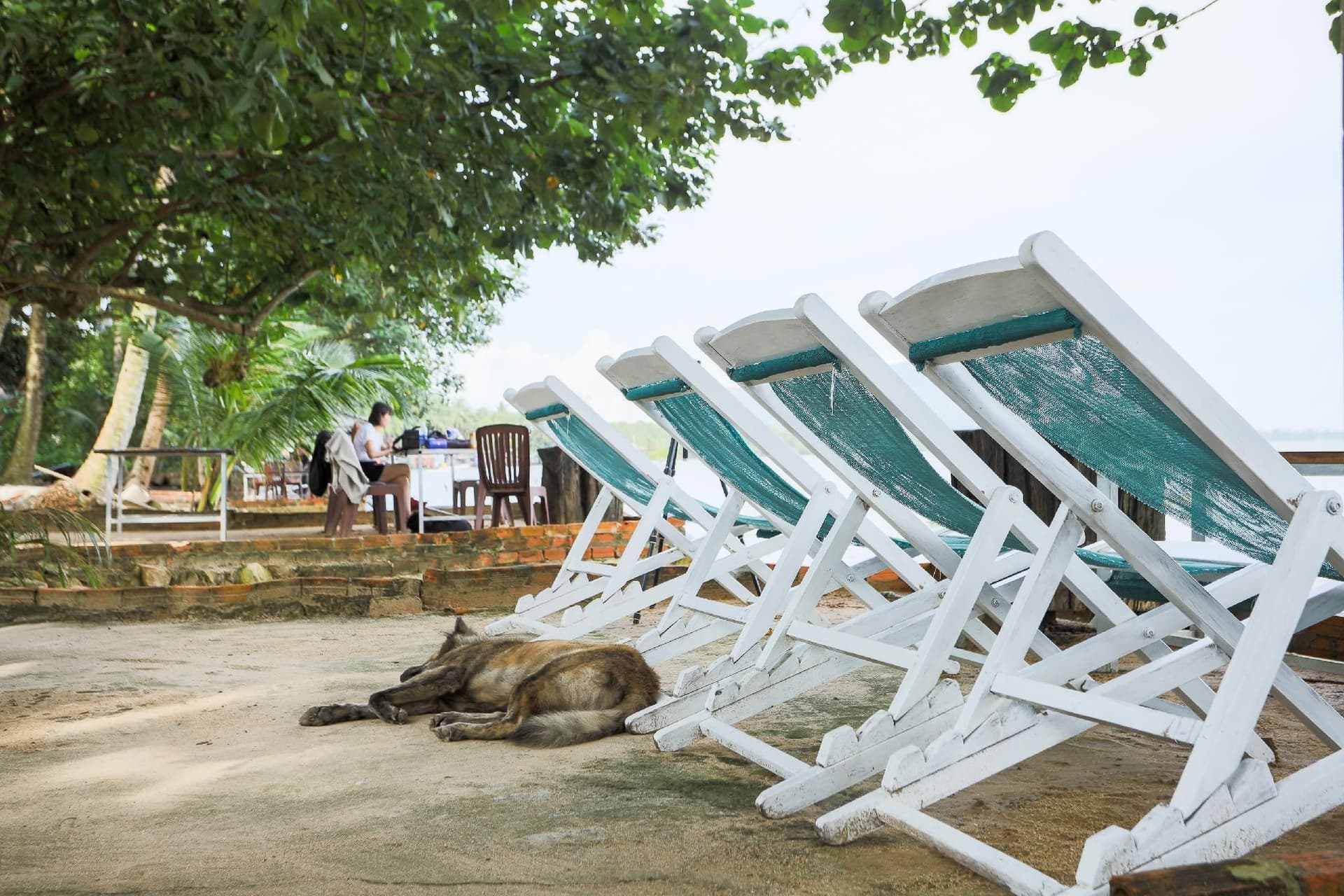 Local Beach Phu Quoc Local Beach Phu Quoc