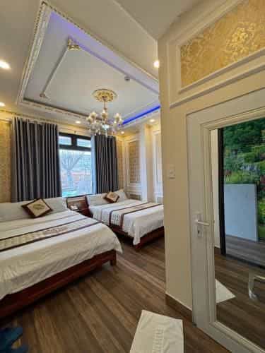 Thy Thy Hotel Thy Thy Hotel