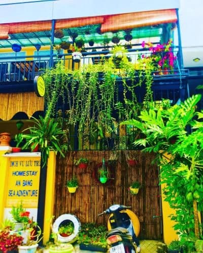 An Bang Sea Adventure Homestay An Bang Sea Adventure Homestay