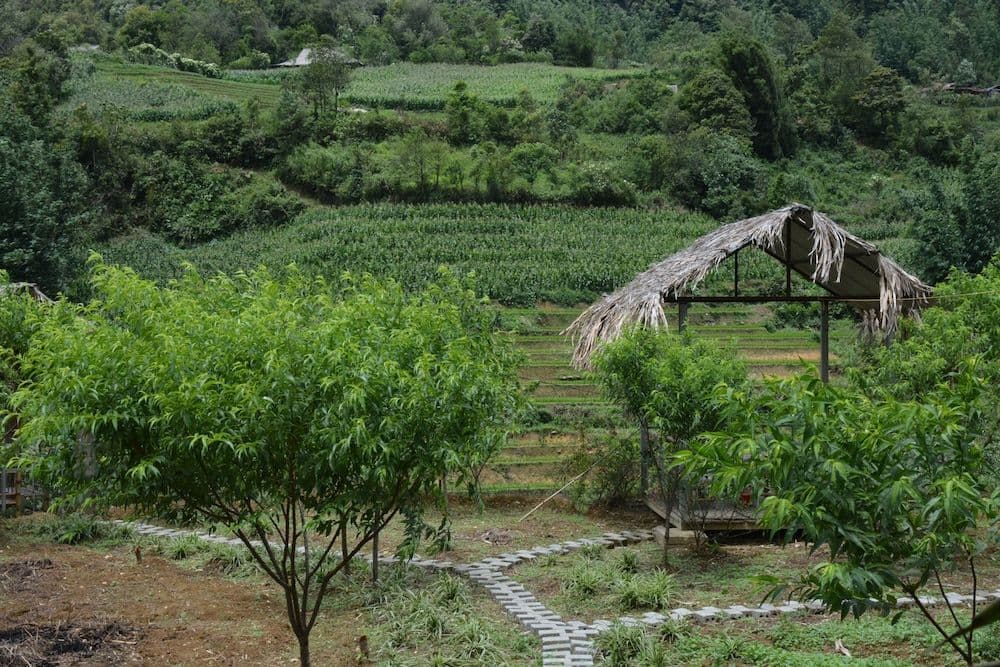 Sapa Homestay Trekking Tour For Backpackers Sapa Homestay Trekking Tour For Backpackers