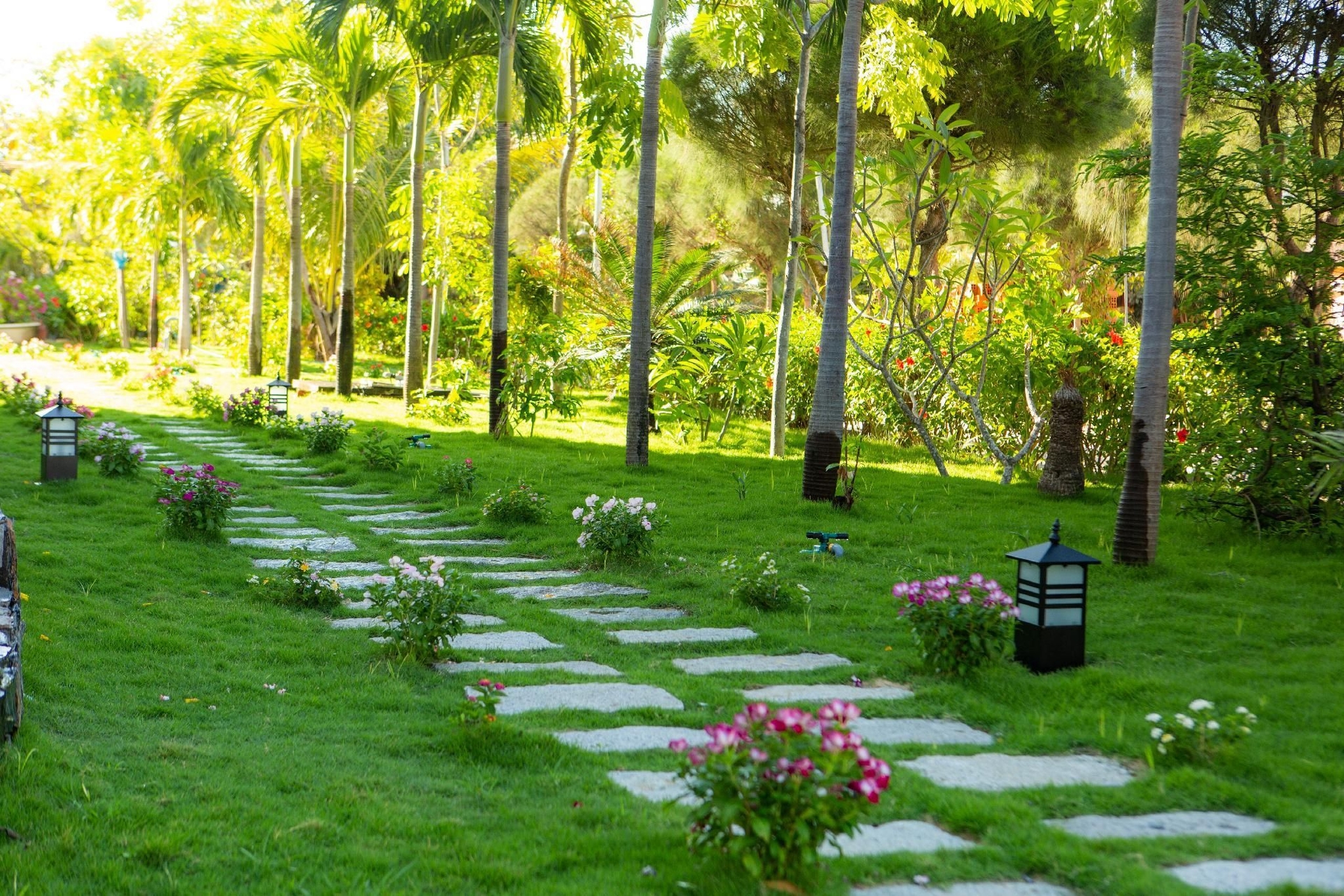 โรงแรมไอวอรี่ ฟูเยน (Ivory Phu Yen Hotel)3