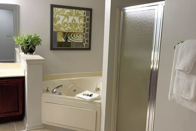 Deluxe Apartment, 2 Bedrooms, Kitchen