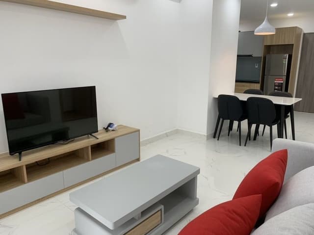 Luxury Apartment