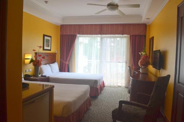 Deluxe Double or Twin Room