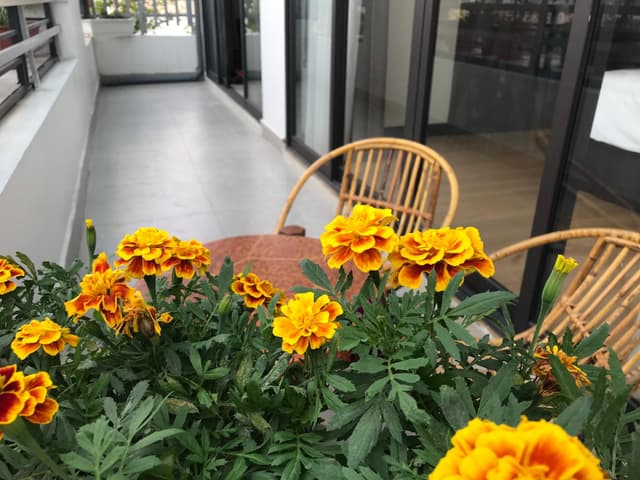 Apartment with Balcony