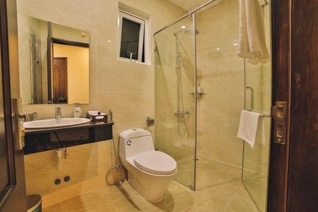 Deluxe Double or Twin Room, City View