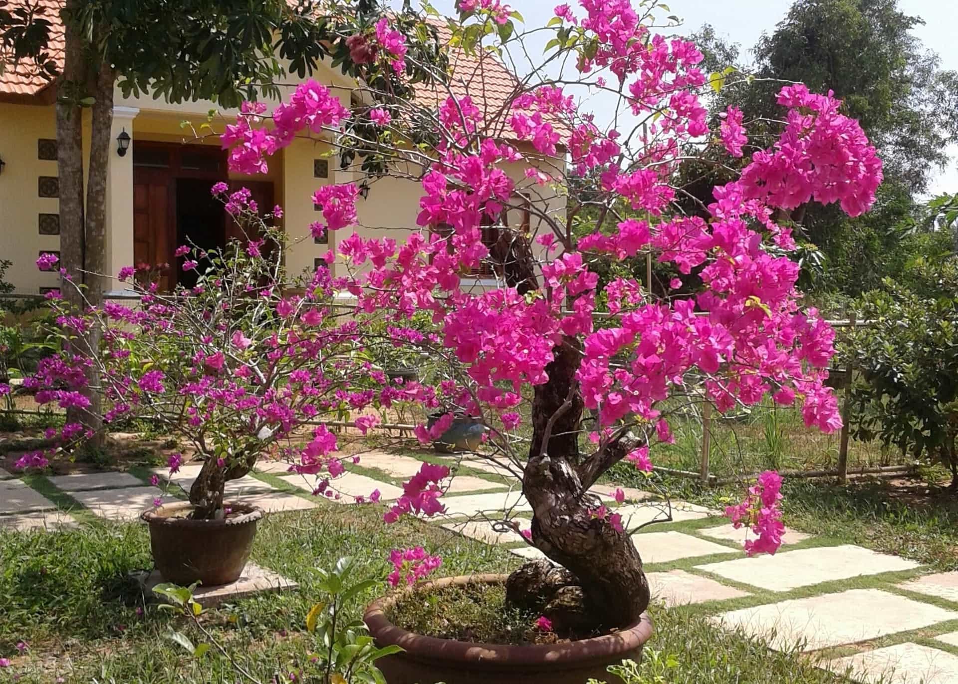 Spring Garden Homestay Spring Garden Homestay