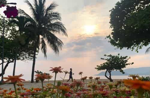 โรงแรมซาเฟีย ญาจาง โรงแรมซาเฟีย ญาจาง