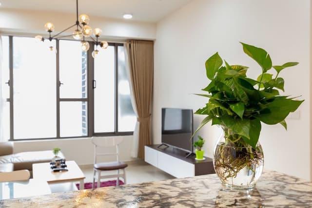 Luxury Apartment