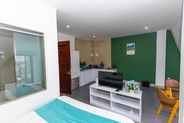 Panoramic Studio