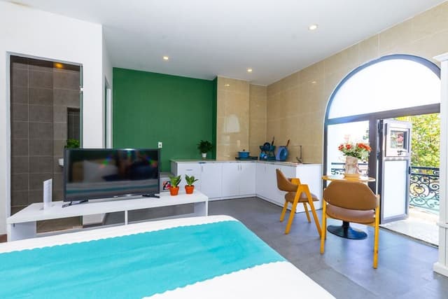 Panoramic Studio