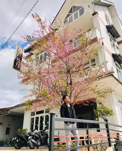 Spring Hotel Spring Hotel