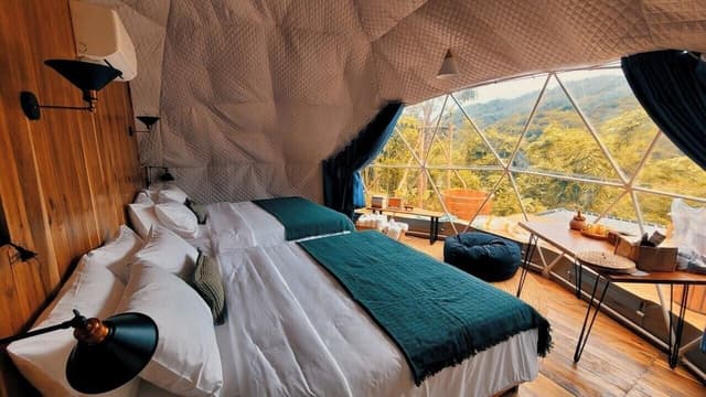 Family Tent, Patio, Garden View