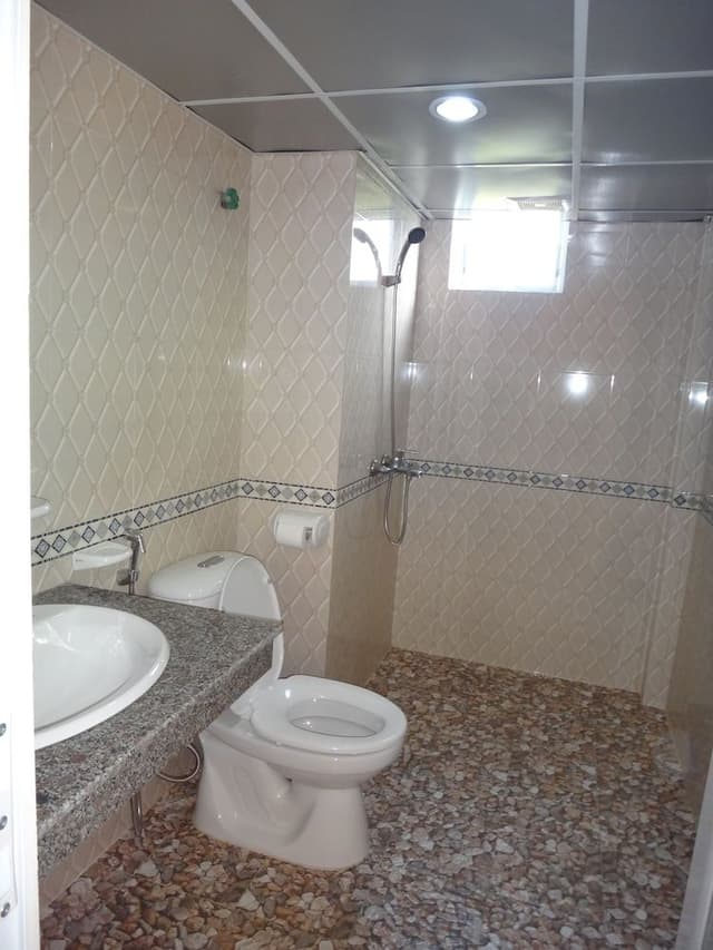 Deluxe Double or Twin Room, Mountain View