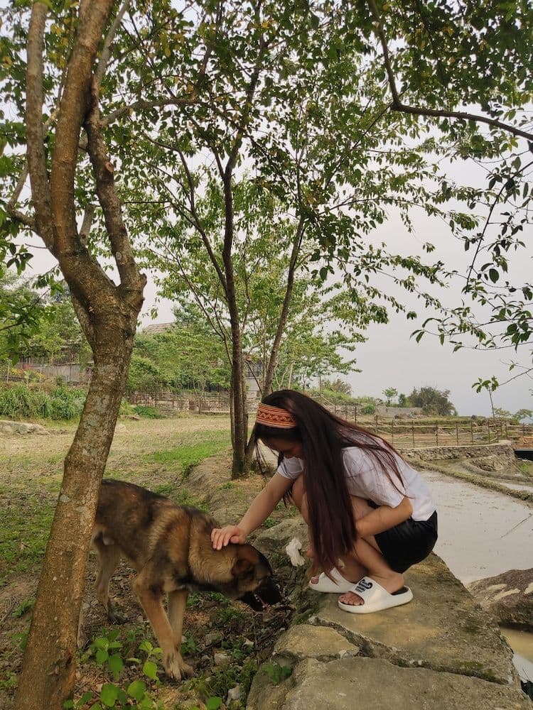 Khen Mong Nature Hotel Khen Mong Nature Hotel