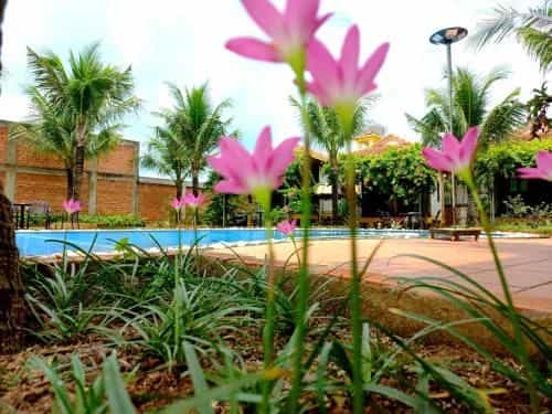 Hung Vuong Resort Hung Vuong Resort