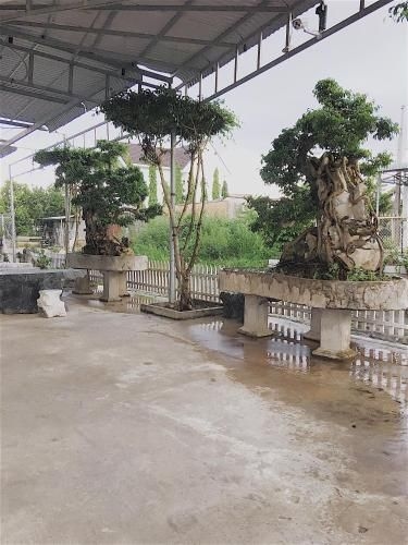 Chi Hieu Hotel1