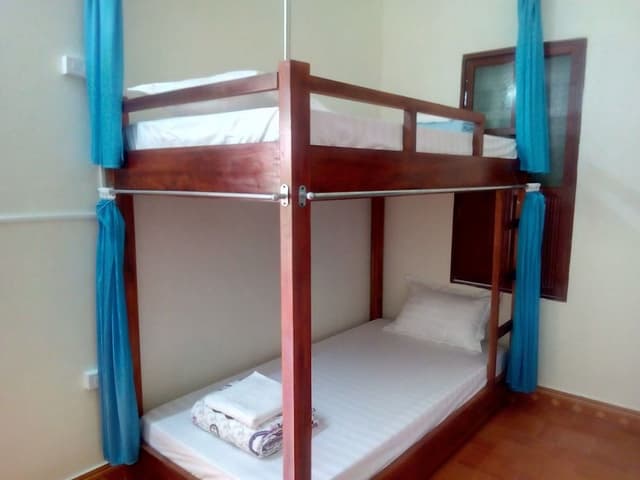 Comfort Shared Dormitory