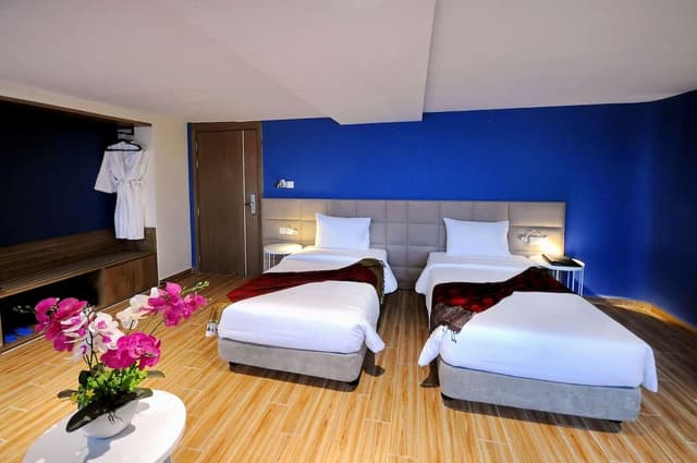 Premium Double or Twin Room, Sea View