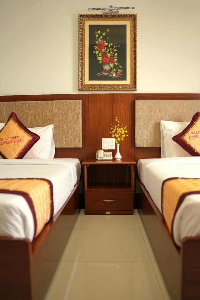Superior Double or Twin Room