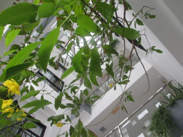 Deluxe Room, Balcony, Double/Twin Bed