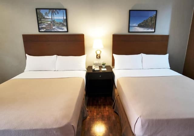 Deluxe Double or Twin Room