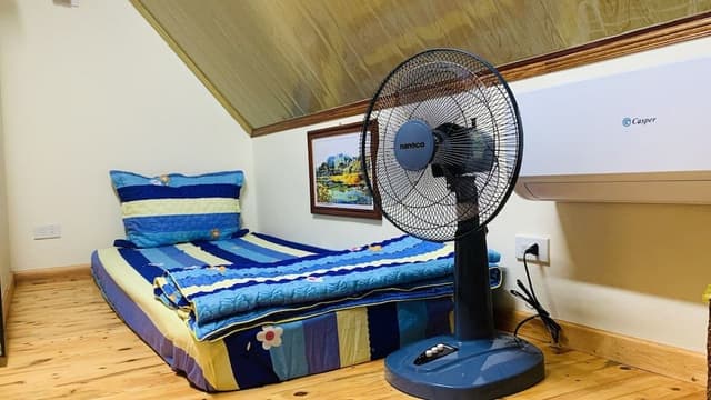 Comfort Shared Dormitory