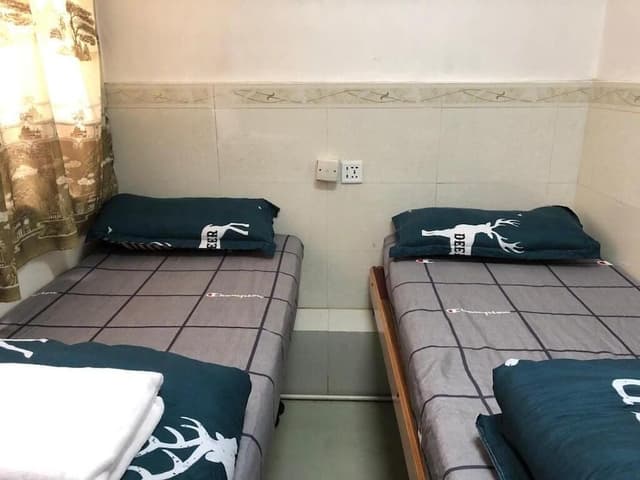 Standard Double or Twin Room, 2 Twin Beds, Non Smoking