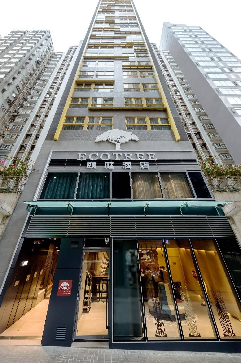โรงแรมอีโคทรี คอสเวย์เบย์ โรงแรมอีโคทรี คอสเวย์เบย์