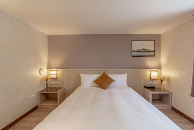 Standard Double Room, 1 Double Bed