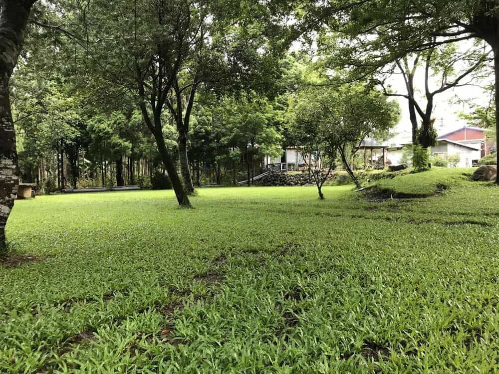 Shuizhong Yue Homestay Shuizhong Yue Homestay