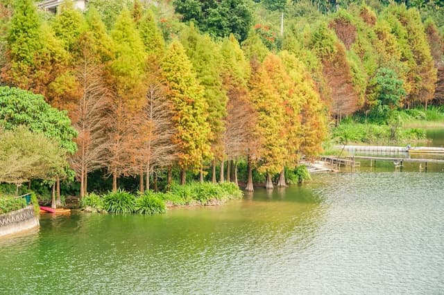 Quadruple Room, Lake View