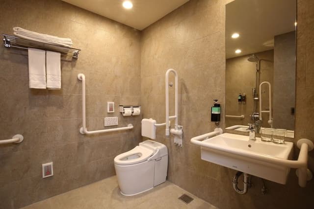 Green Accessible Double Room (Disposable items are not provided)
